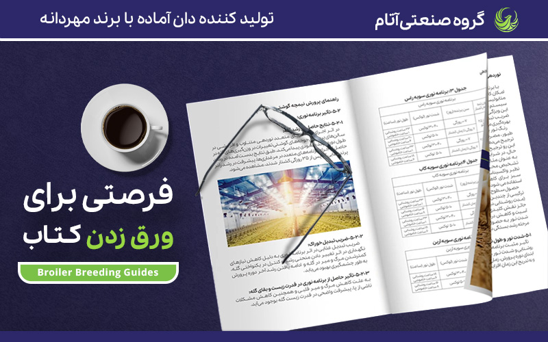 فرصتی برای ورق زدن کتاب